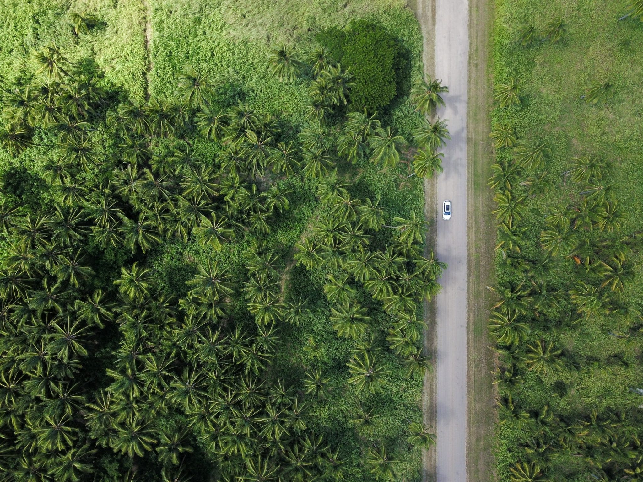 michael-olsen-vNIgKjZbJW0-unsplash