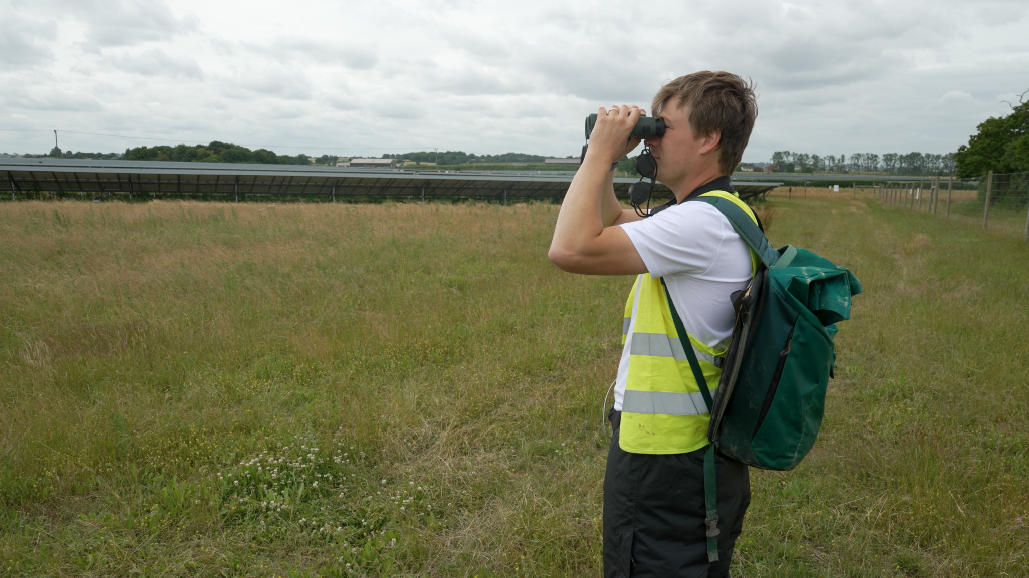 Bird monitoring at Clayhill Solar Farm