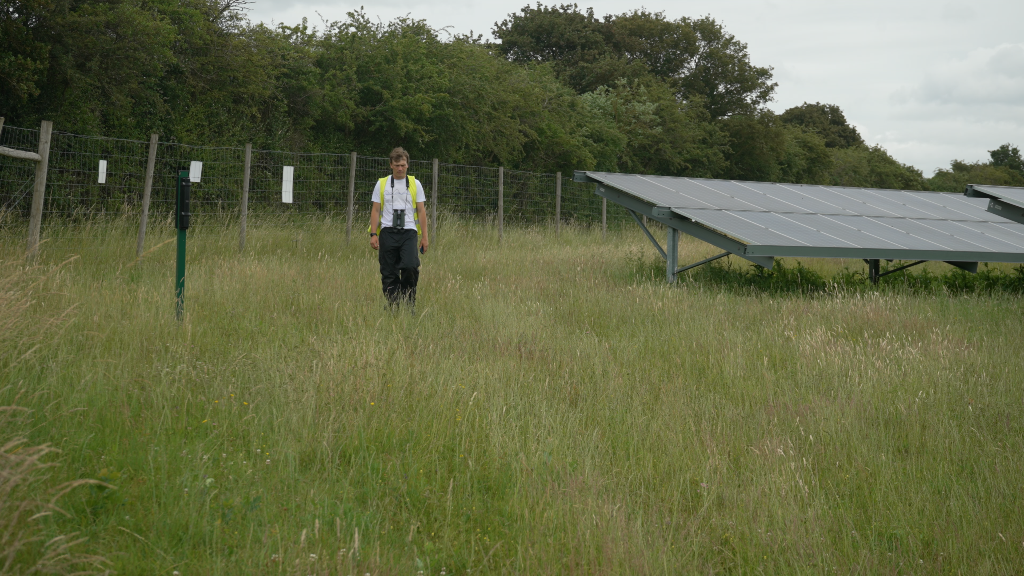 Clayhill Solar Farm