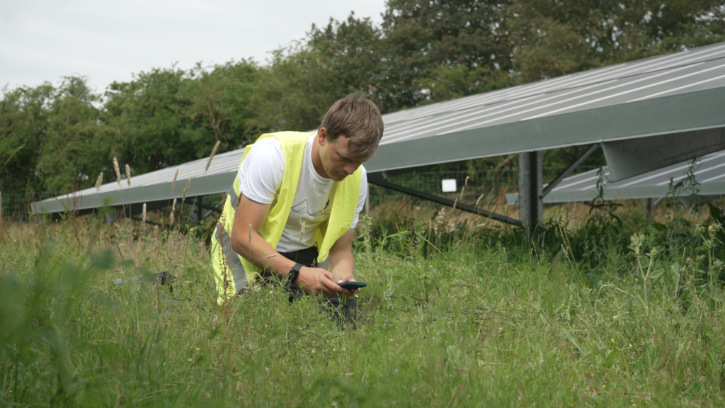 GRIDSERVE solar farms are biodiversity havens