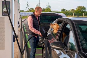 dogs at the GRIDSERVE Electric Forecourt