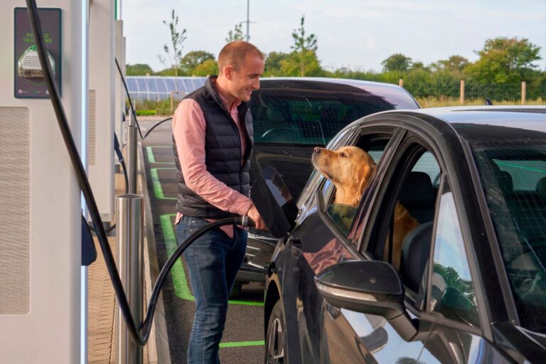 dogs at the GRIDSERVE Electric Forecourt